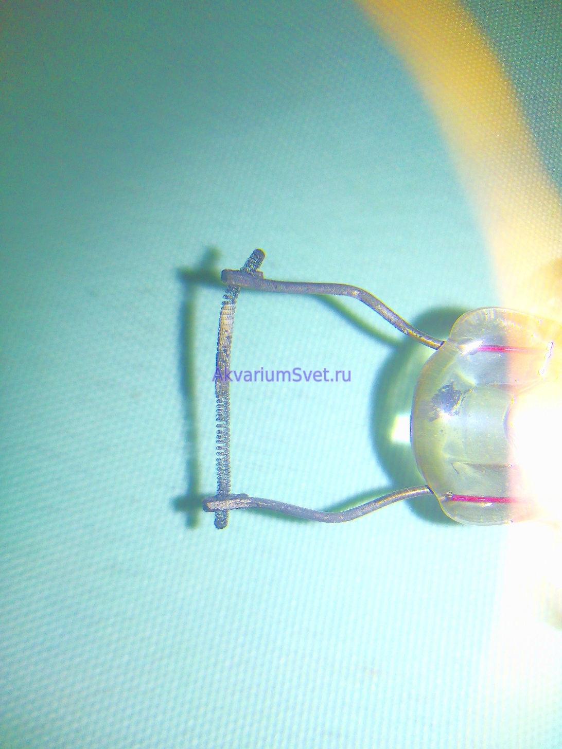 Электроды люминесцентной лампы представляют собой вольфрамовые нити, покрытые пастой (активной массой) из щелочноземельных металлов. Эта паста и обеспечивает стабильный тлеющий разряд, если бы ее не было, вольфрамовые нити очень скоро перегрелись бы и сгорели. 