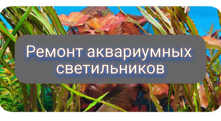 Выбрать услугу по ремонту аквариумных светильников 